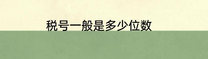 税号一般是多少位数