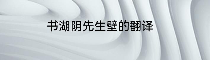 书湖阴先生壁的翻译