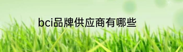 bci品牌供应商有哪些