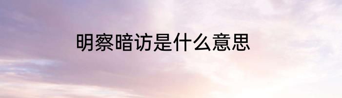 明察暗访是什么意思