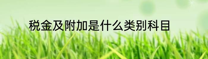 税金及附加是什么类别科目