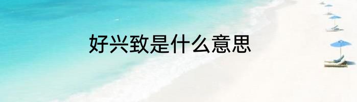 好兴致是什么意思