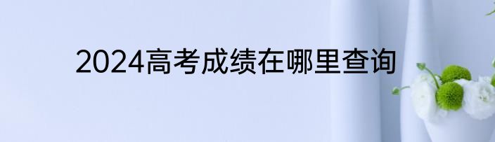2024高考成绩在哪里查询