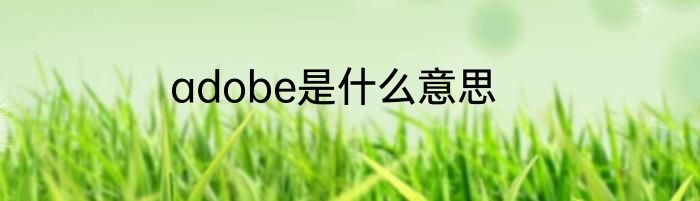 adobe是什么意思
