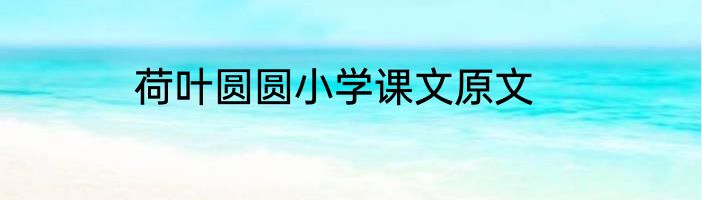 荷叶圆圆小学课文原文
