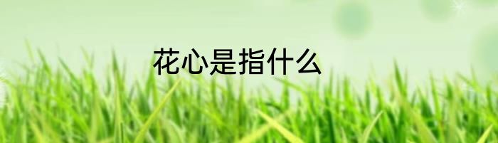 花心是指什么