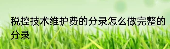 税控技术维护费的分录怎么做完整的分录