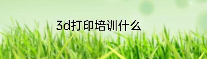 3d打印培训什么