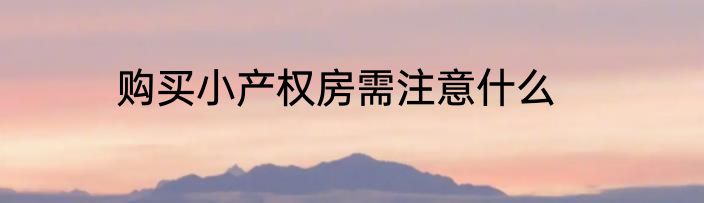 购买小产权房需注意什么