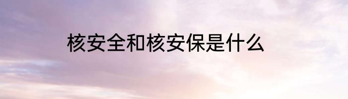 核安全和核安保是什么