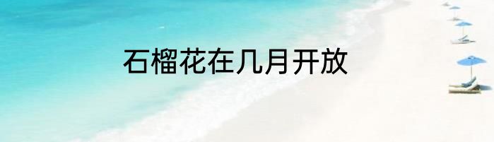 石榴花在几月开放