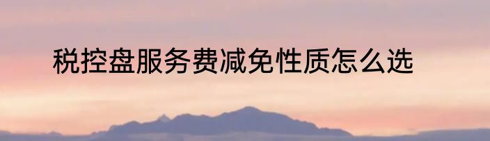税控盘服务费减免性质怎么选