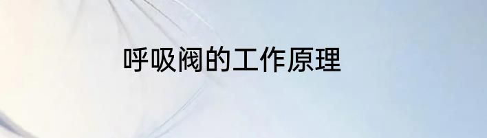 呼吸阀的工作原理