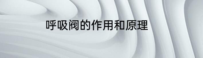 呼吸阀的作用和原理
