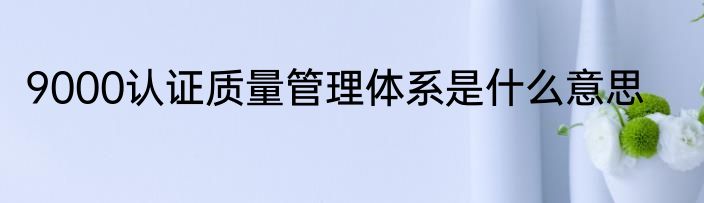9000认证质量管理体系是什么意思