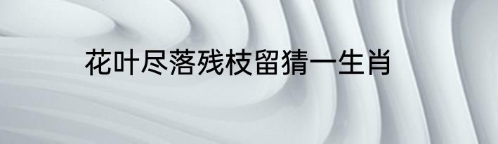 花叶尽落残枝留猜一生肖
