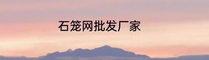 石笼网批发厂家