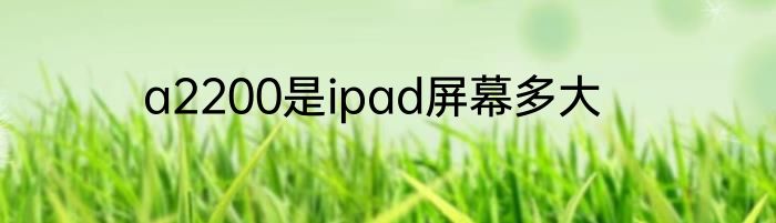 a2200是ipad屏幕多大