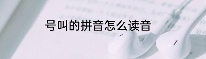 号叫的拼音怎么读音
