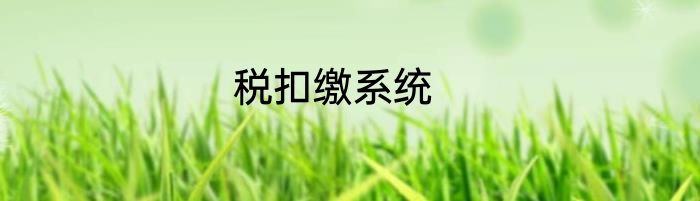 税扣缴系统