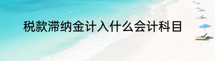 税款滞纳金计入什么会计科目