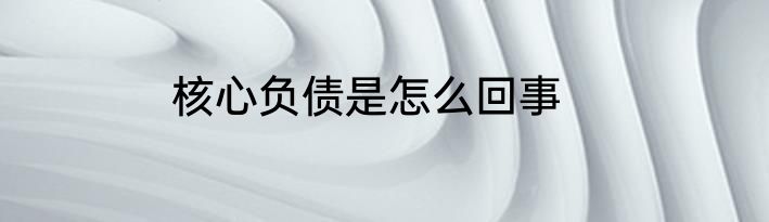 核心负债是怎么回事