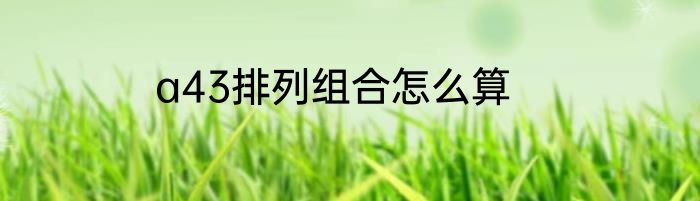 a43排列组合怎么算