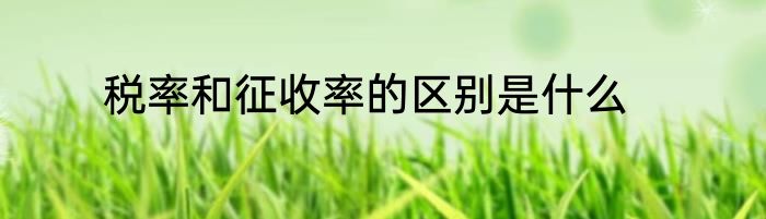 税率和征收率的区别是什么