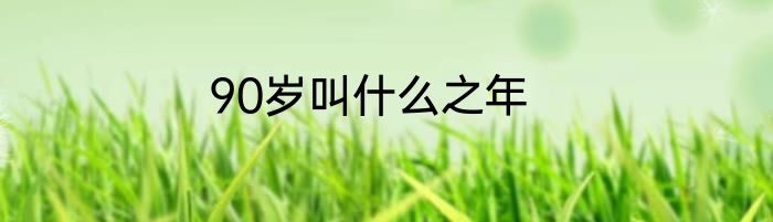 90岁叫什么之年