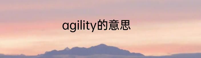 agility的意思