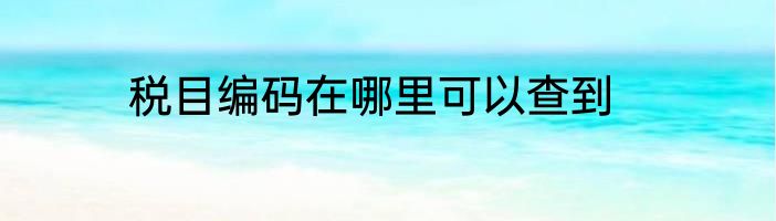 税目编码在哪里可以查到