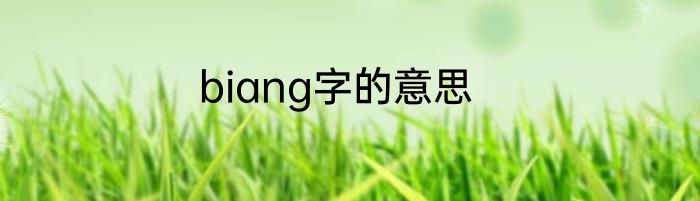 biang字的意思