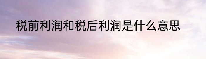 税前利润和税后利润是什么意思