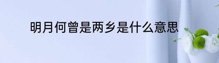 明月何曾是两乡是什么意思