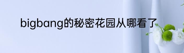 bigbang的秘密花园从哪看了