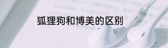 狐狸狗和博美的区别