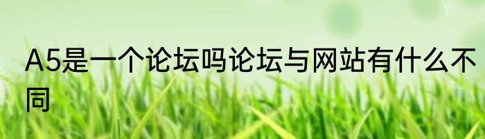 A5是一个论坛吗论坛与网站有什么不同