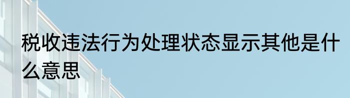 税收违法行为处理状态显示其他是什么意思