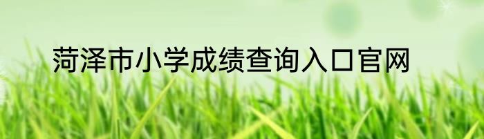 菏泽市小学成绩查询入口官网