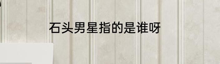 石头男星指的是谁呀