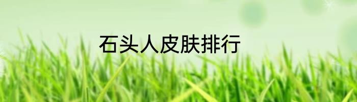 石头人皮肤排行