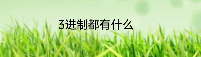3进制都有什么