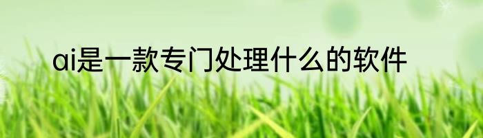 ai是一款专门处理什么的软件