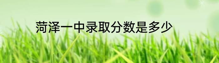 菏泽一中录取分数是多少