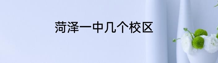 菏泽一中几个校区