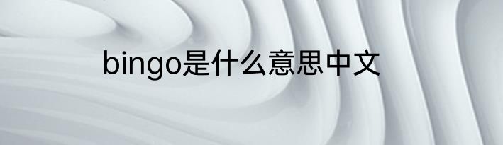 bingo是什么意思中文