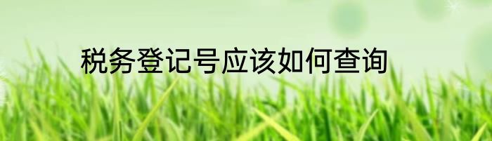 税务登记号应该如何查询