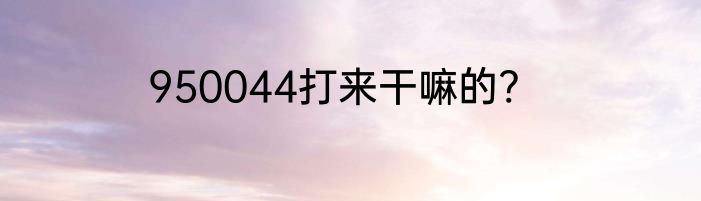 950044打来干嘛的?