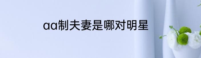 aa制夫妻是哪对明星