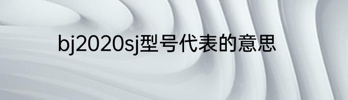 bj2020sj型号代表的意思